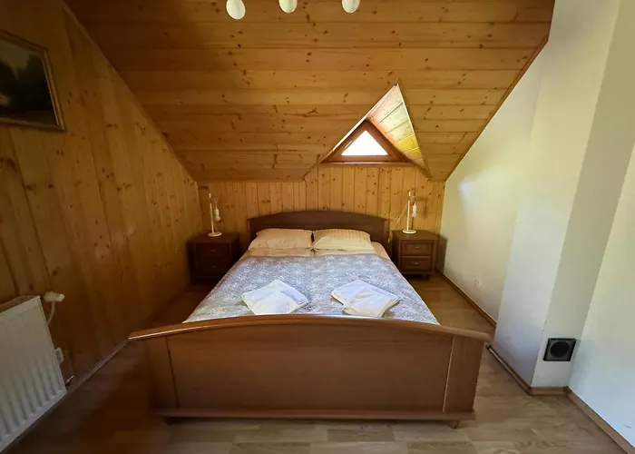 Chill On Hill - שצ'צ'ירק