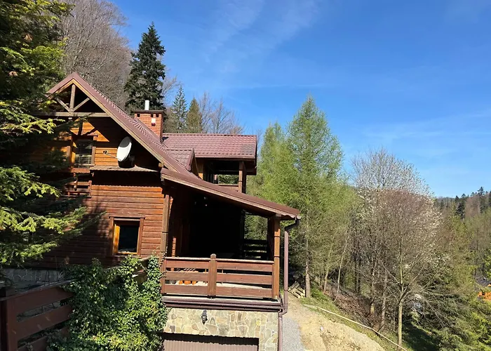 Chill On Hill - שצ'צ'ירק